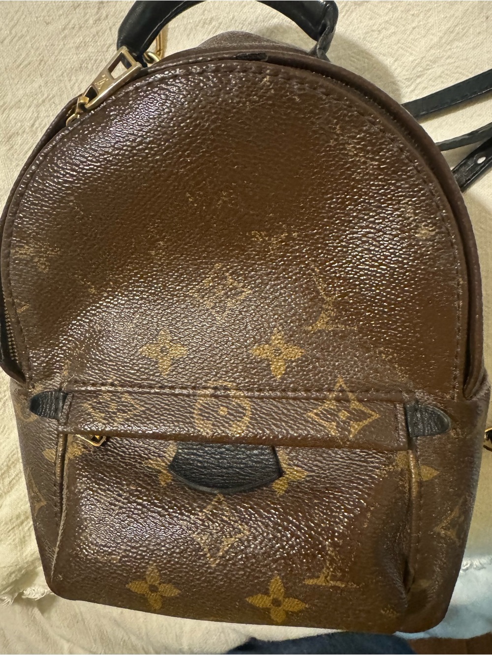 Louis Vuitton Palm Springs Mini Monogram Canvas Backpack